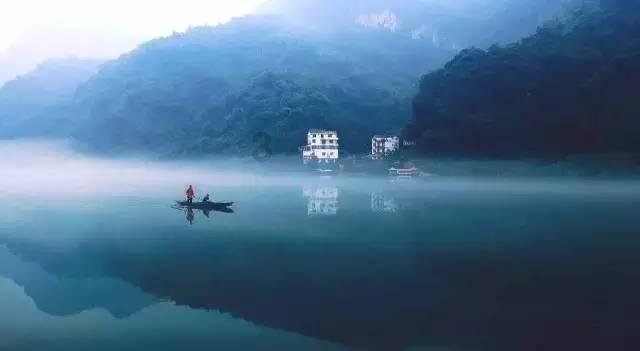 春雨直播app